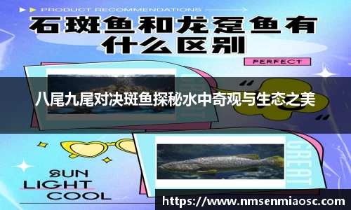 八尾九尾对决斑鱼探秘水中奇观与生态之美